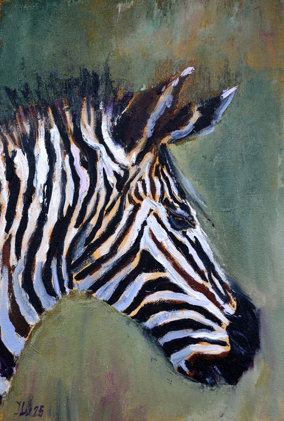 Zebra in profile