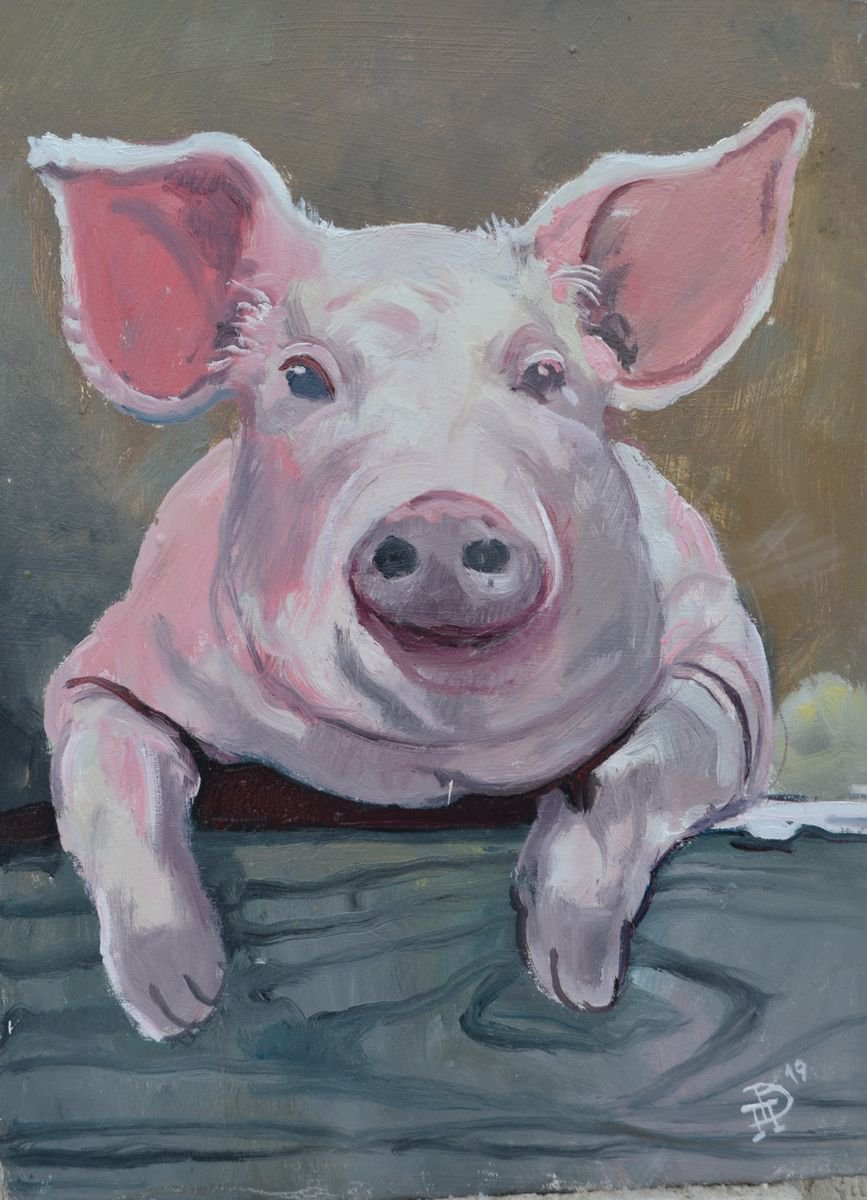 Pig portrait by Vitalii Panasiuk