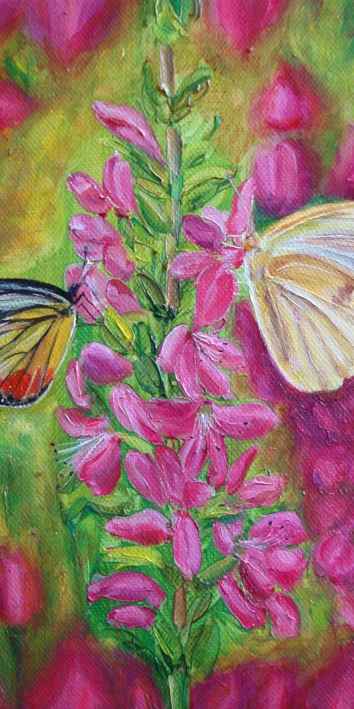 Pair of butterflies by Olga Knezevic