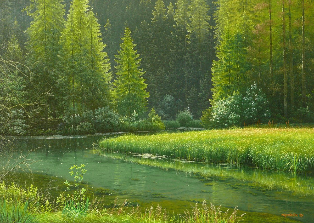 Forgotten pond by Mlynarcik Emil