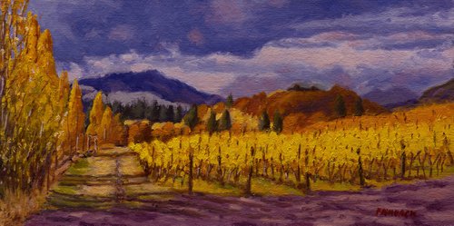 Mountain Vineyard by Daniel Fishback
