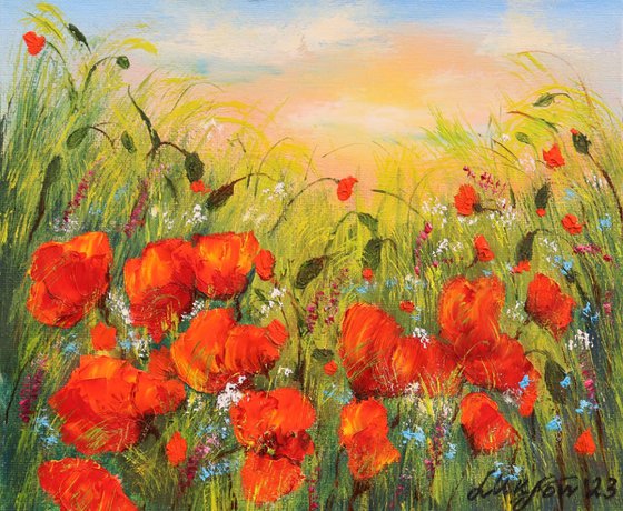 Poppy field