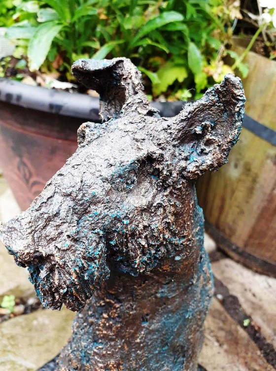 Pippin - Waiting.  Schnauzer Dog sculpture