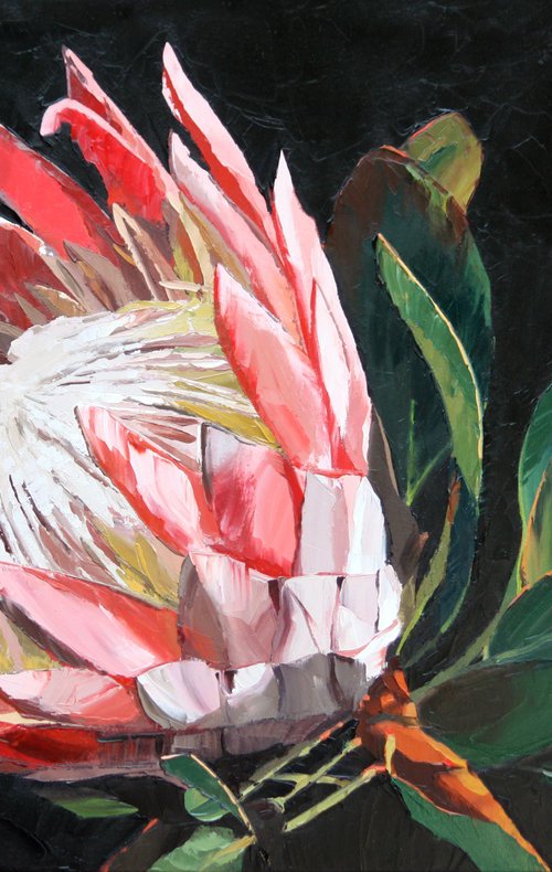 Protea by Claire McCall