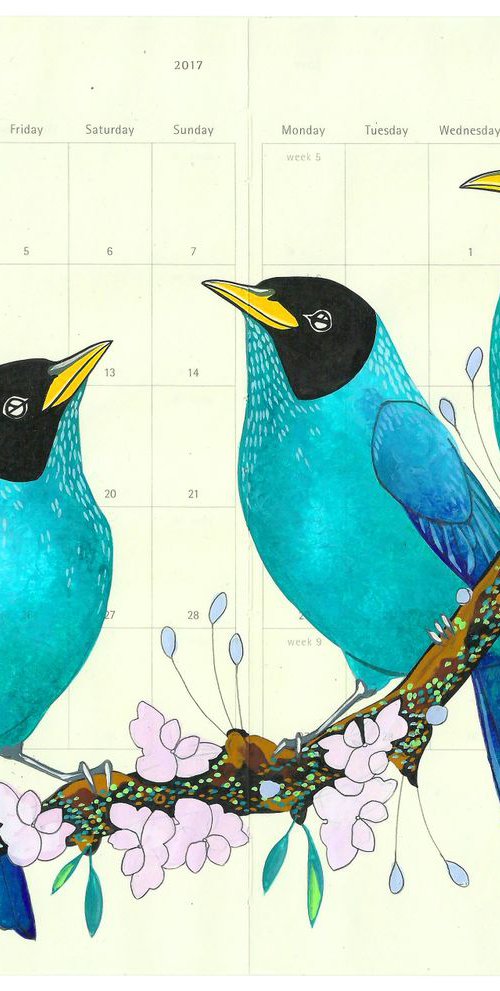 Birds of South America: Turquoise Honeycreeper by Fran Giffard