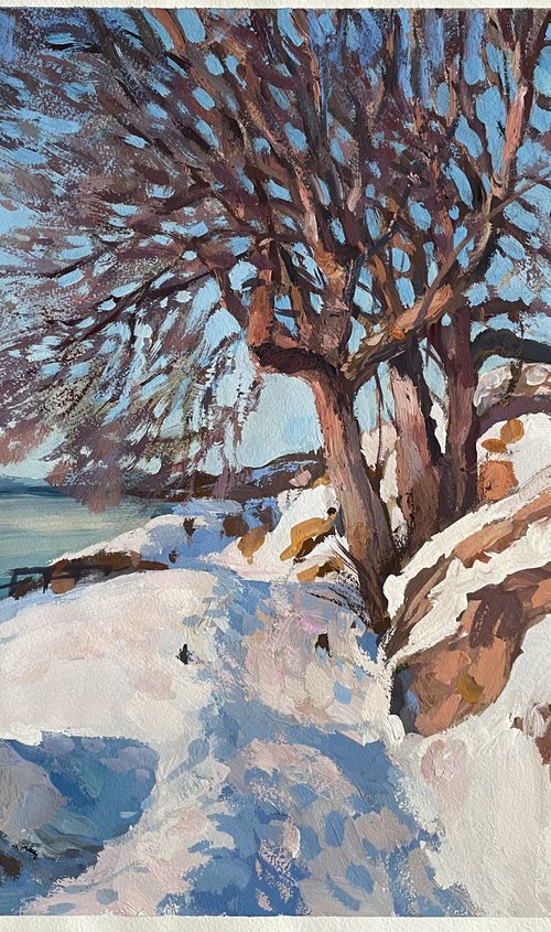 Winter at the fjord by Nadezda Stupina