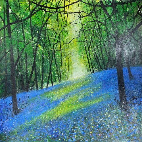 Light through Spring Bluebell Woodland by Teresa Tanner