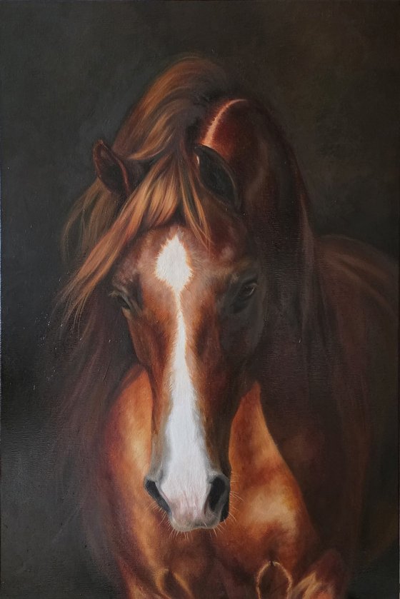 Red tenderness.