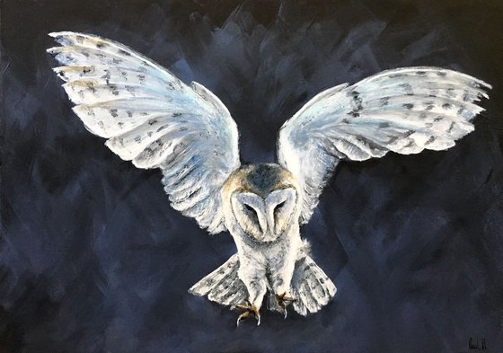 Dark Owl, Barn owl original painting