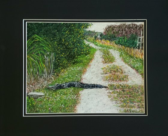 Alligator On The Trail