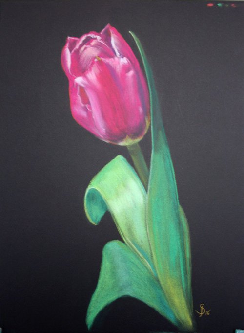 Original pastel drawing 'Tulip' by Salana Art Gallery