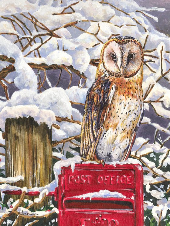 Barn Owl on Postbox