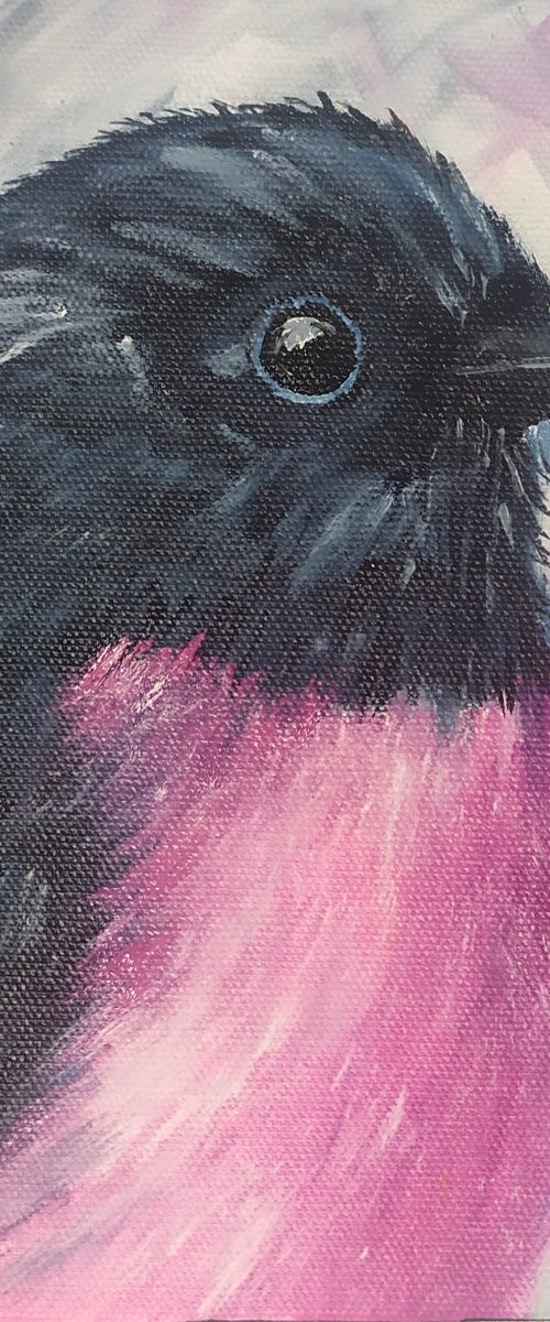 Pink Robin by Nataliia Plakhotnyk