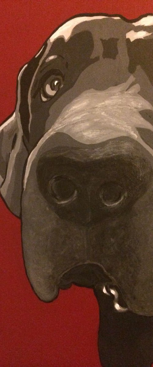 WINSTON - GREAT DANE  ( Commissioned Pet Portraits) by ELAINE ASKEW