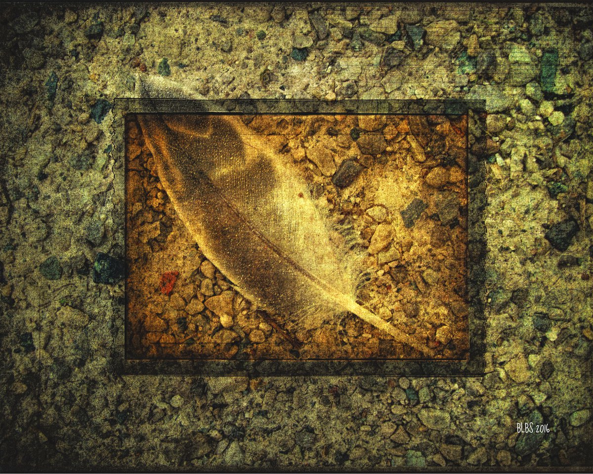 The Memory of Flight by Barbara Storey