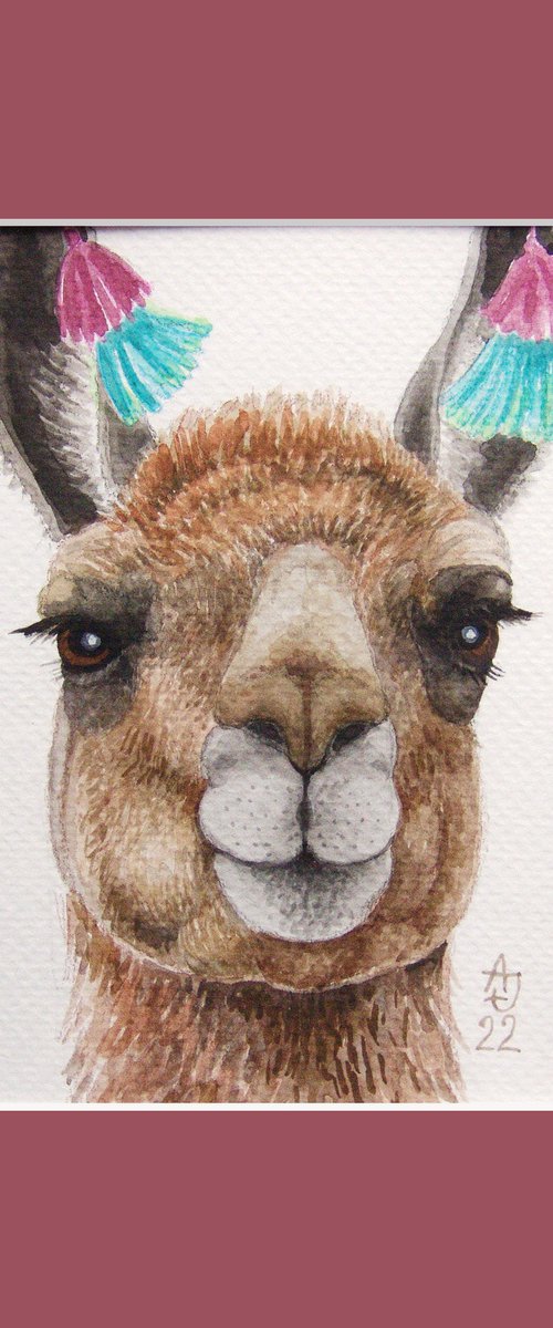 A small portrait of a lama :) by Jolanta Czarnecka