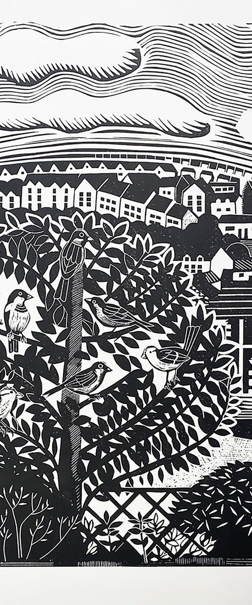 Sparrows in Stroud by Amanda Ribbans