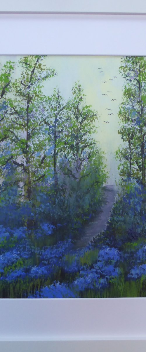 First light, bluebell woods by Elaine Allender