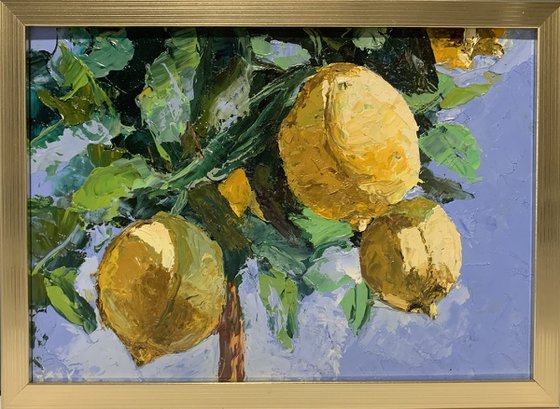 Lemon garden.