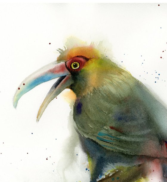 Green-billed toucan