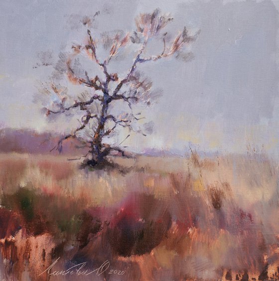Lonely tree