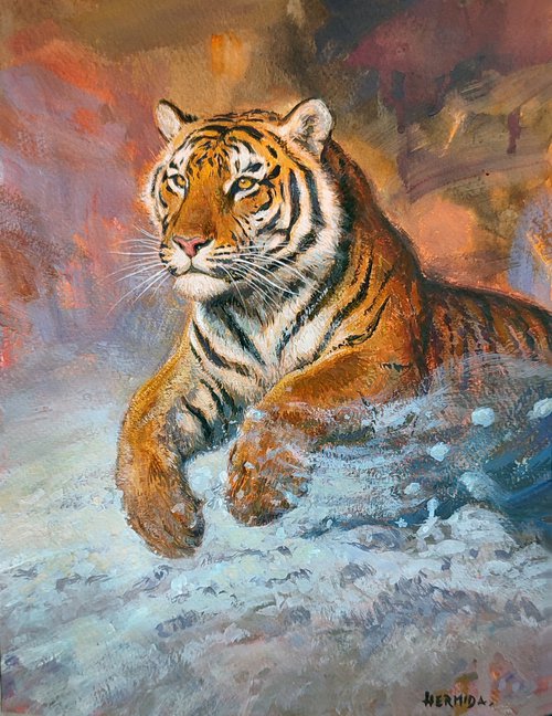 Siberian tiger by Gabriel Hermida