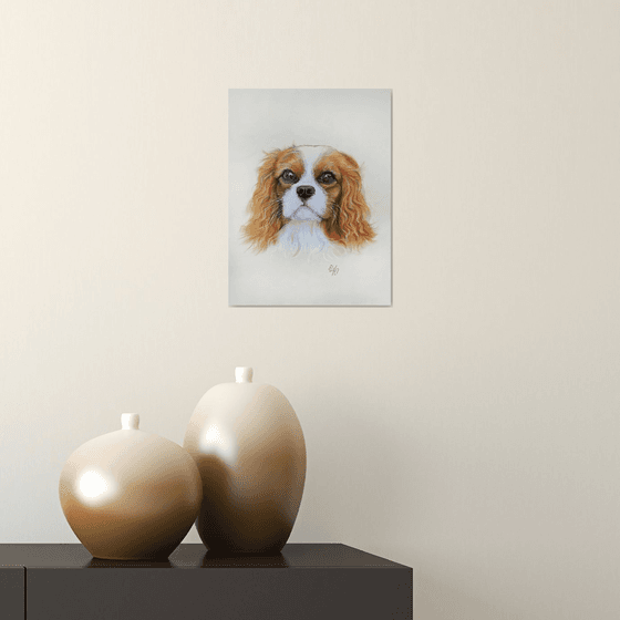 Gentle Cavalier King Charles Spaniel Portrait