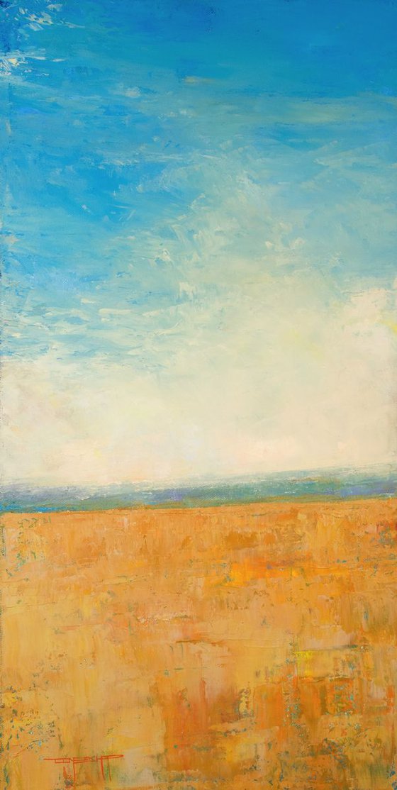 Summer Sky contemporary landscape