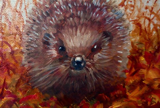 Autumnal Hedgehogs