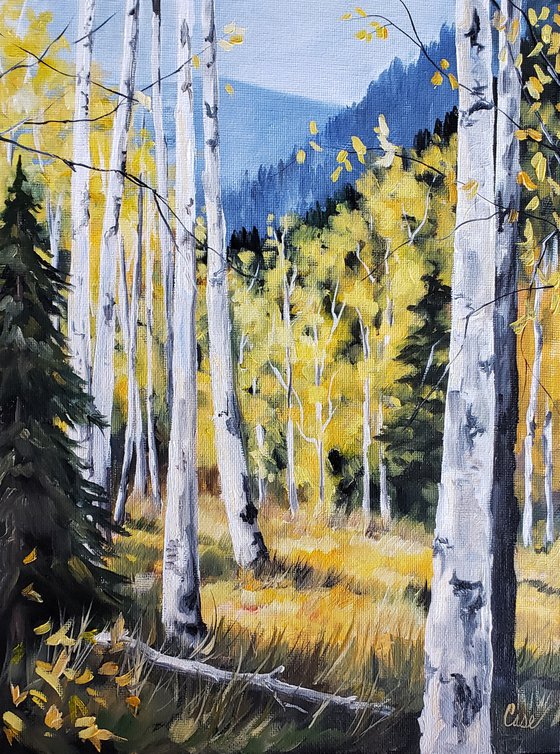 Landscape - Mountain Trees - "Aspen Meadow"