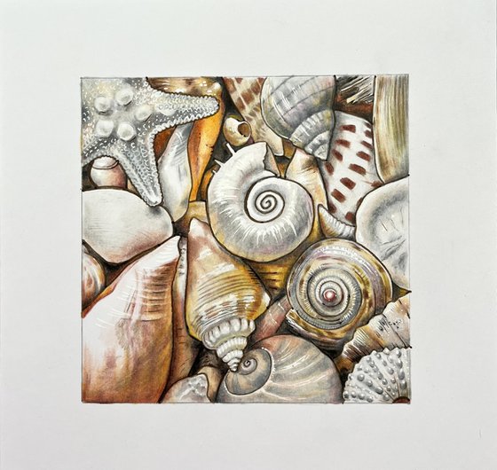 Shells
