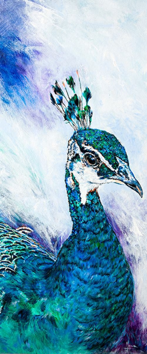 Blue Peacock by Anna Sidi-Yacoub