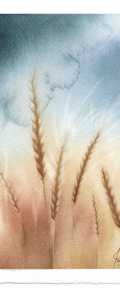 Yesterdays II - Barley Field Watercolor by ieva Janu