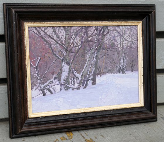 February. Alley in Tsaritsyno Park