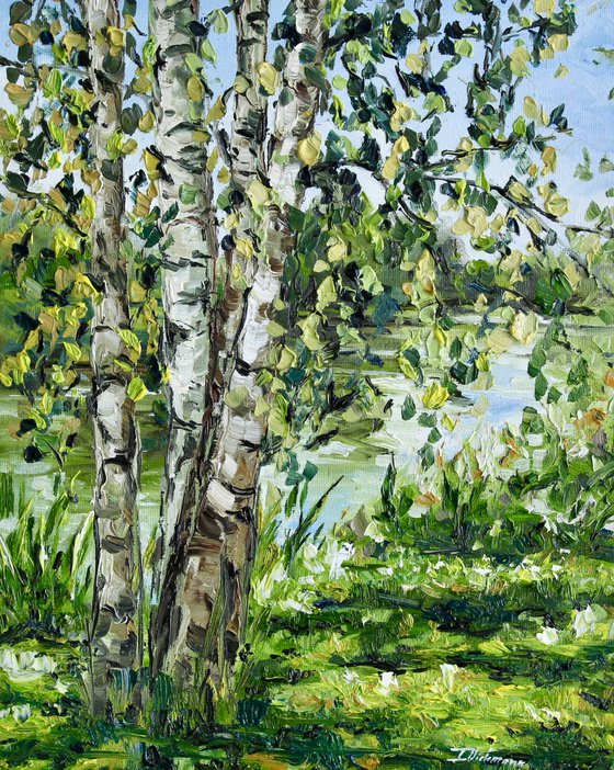 Birch Trees by the Water