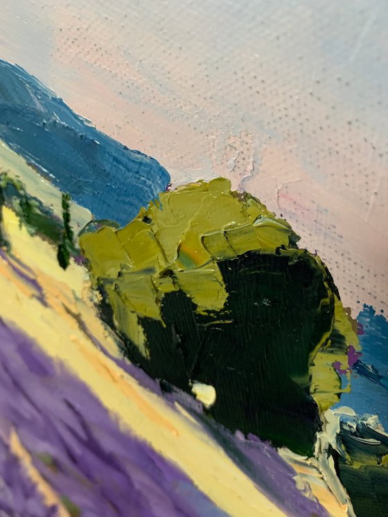Tuscan Lavender Fields.