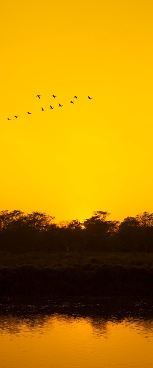 Sunset in Chitwan by Viet Ha Tran