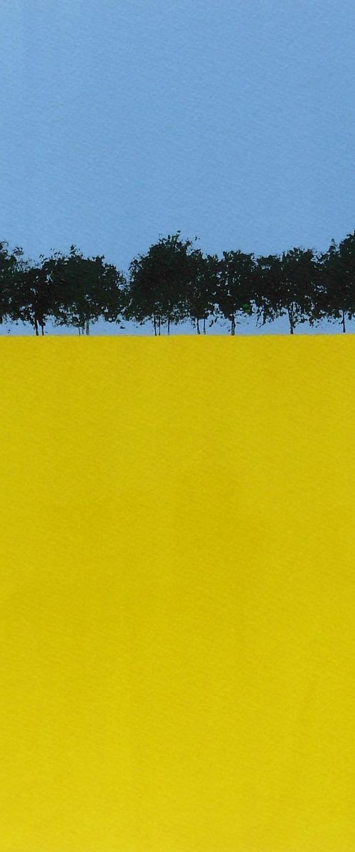 Rapeseed Field, Hampshire by Jan Rippingham