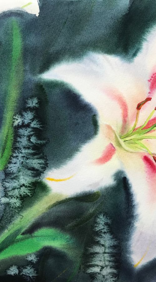 Delicate lily by Eugenia Gorbacheva