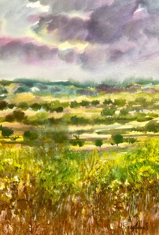 Somerset landscape
