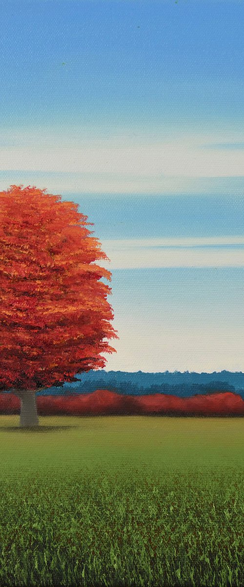 Red Tree - Fall Landscape by Suzanne Vaughan