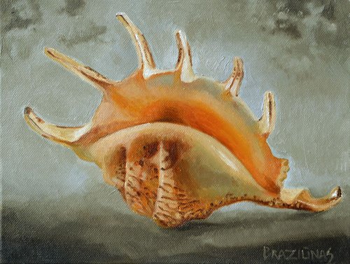 Shell, miniature by Arturas  Braziunas