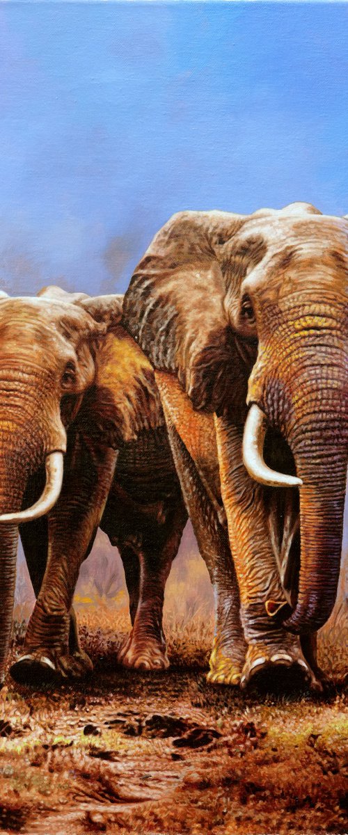 Wild Elephants 2 by K Shaji