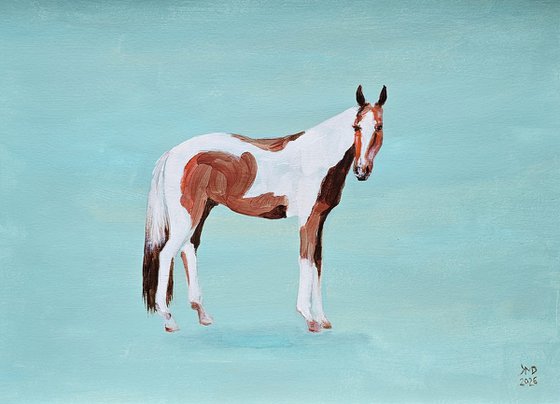 Pinto skewbald horse on aqua blue