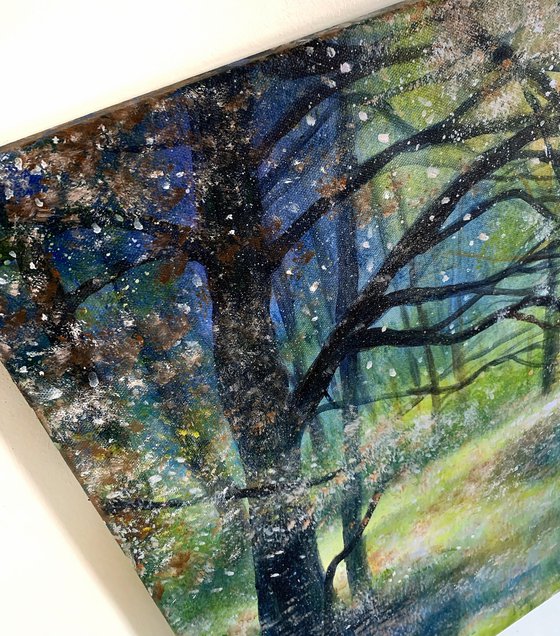Under The Woodland Stars