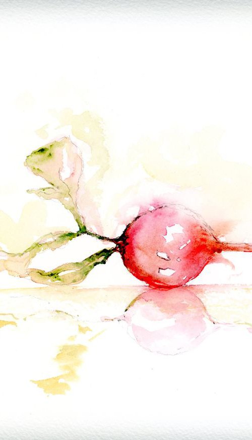 Radish by Alex Tolstoy