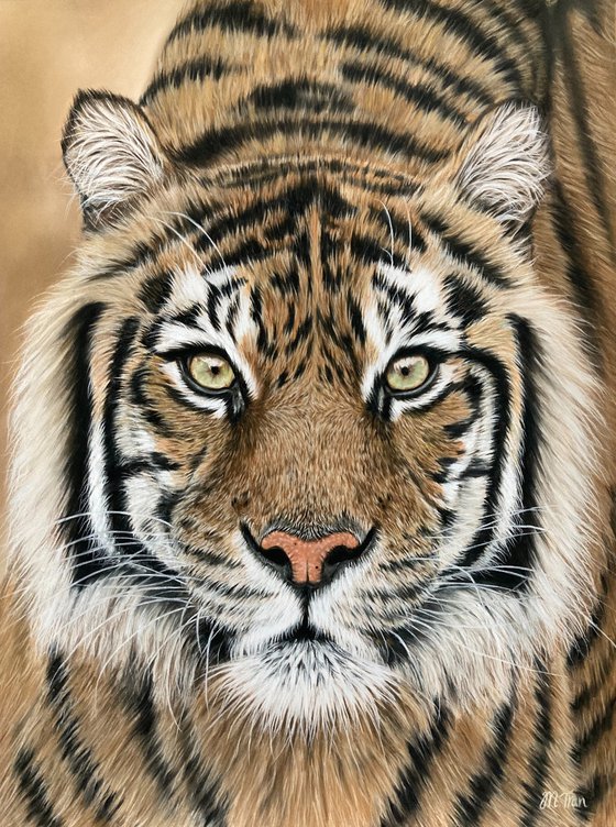Gaze