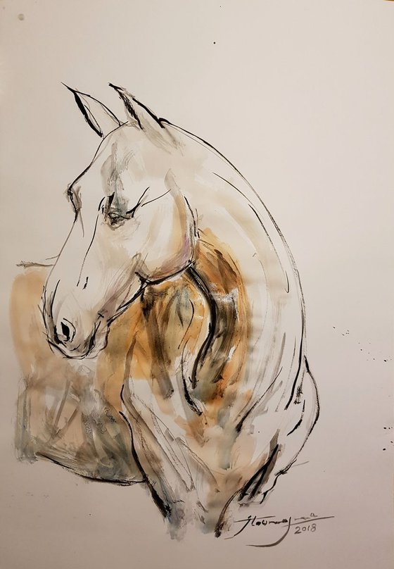 Horse 4