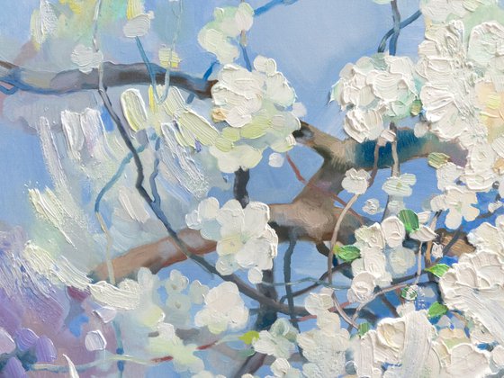 White Miracle of Spring