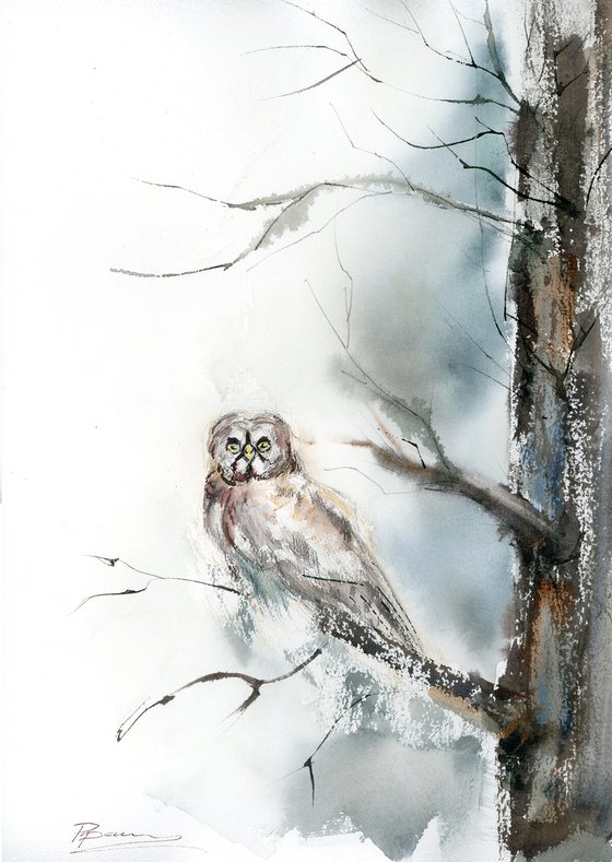 Owl in the Frosted Silence